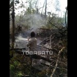 pembakaran hutan tobasatu