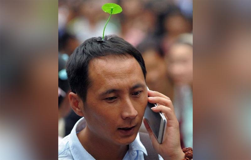 tanaman di atas kepala
