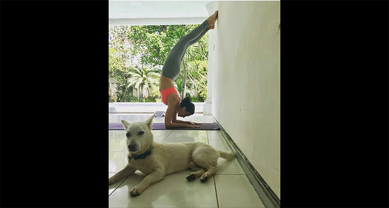 Lihat Gaya Sophia Latjuba Yoga, Netizen Salah Fokus Sama Anjingnya