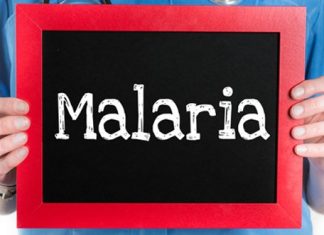 Penyakit Malaria - tobasatu