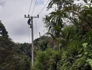 Investasikan Rp1,6 Miliar, PLN Alirkan Listrik ke 2 Dusun di Kaki Bukit Barisan